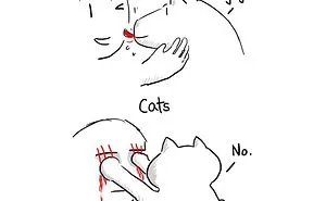 66 Hilarious Differences Between Cats And Dogs