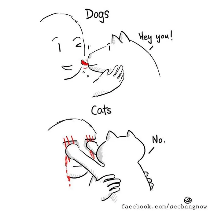 66 Hilarious Differences Between Cats And Dogs