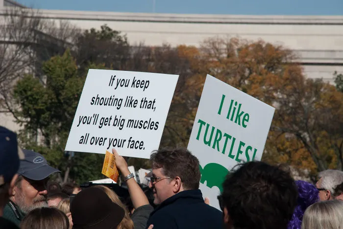 I Like Turtles