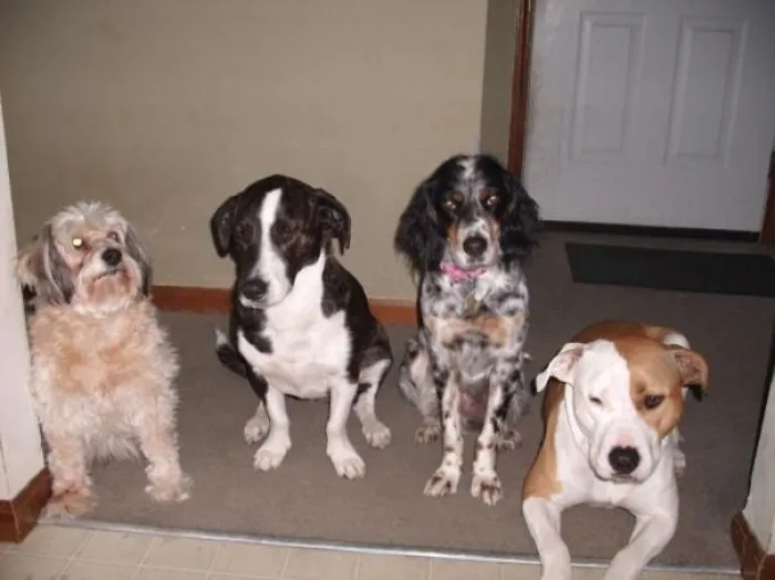 We Like Variety In Our House