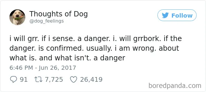 182 Of The Funniest Dog Thoughts That Dog Owners Will Understand Too Well