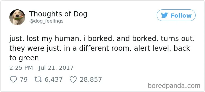 182 Of The Funniest Dog Thoughts That Dog Owners Will Understand Too Well