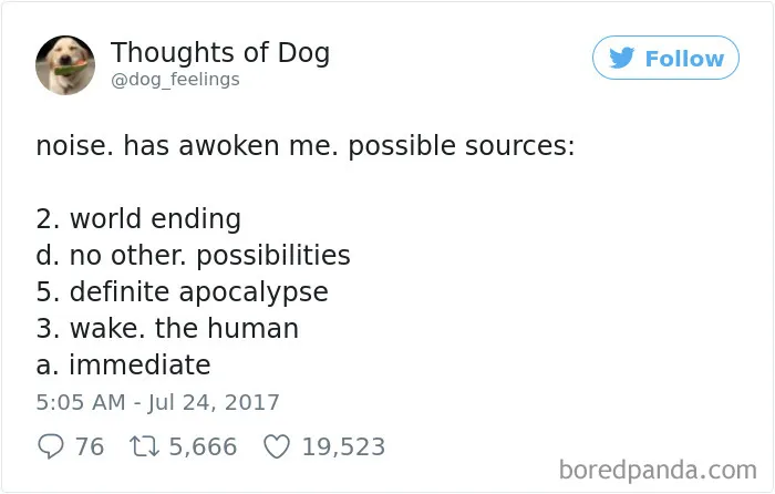 182 Of The Funniest Dog Thoughts That Dog Owners Will Understand Too Well