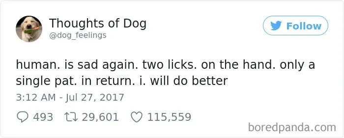 182 Of The Funniest Dog Thoughts That Dog Owners Will Understand Too Well
