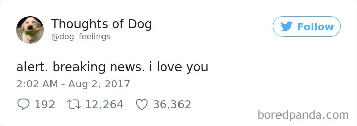 182 Of The Funniest Dog Thoughts That Dog Owners Will Understand Too Well