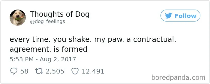 182 Of The Funniest Dog Thoughts That Dog Owners Will Understand Too Well