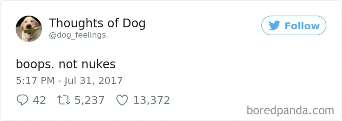 Dog Thoughts