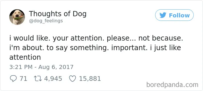 182 Of The Funniest Dog Thoughts That Dog Owners Will Understand Too Well