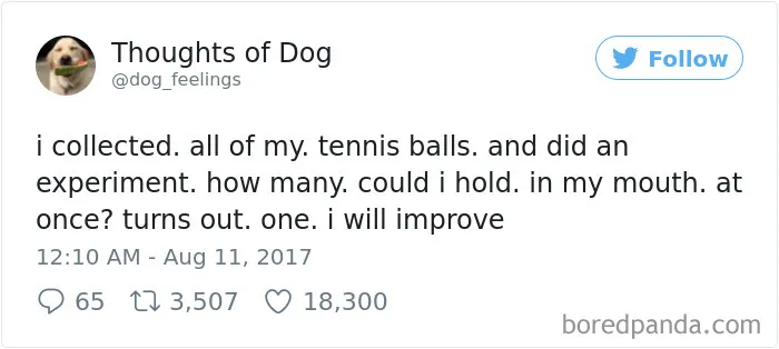 182 Of The Funniest Dog Thoughts That Dog Owners Will Understand Too Well