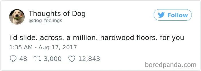 182 Of The Funniest Dog Thoughts That Dog Owners Will Understand Too Well