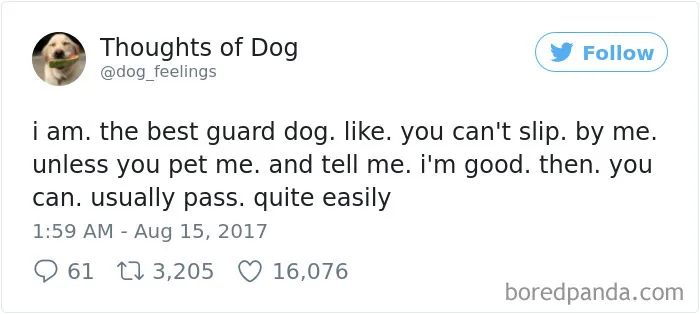182 Of The Funniest Dog Thoughts That Dog Owners Will Understand Too Well