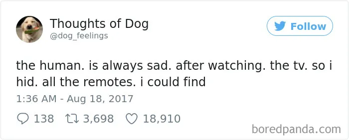 182 Of The Funniest Dog Thoughts That Dog Owners Will Understand Too Well