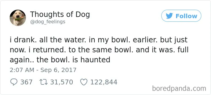 182 Of The Funniest Dog Thoughts That Dog Owners Will Understand Too Well
