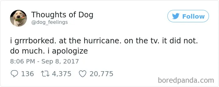 182 Of The Funniest Dog Thoughts That Dog Owners Will Understand Too Well