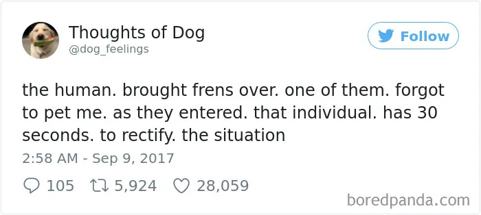 182 Of The Funniest Dog Thoughts That Dog Owners Will Understand Too Well