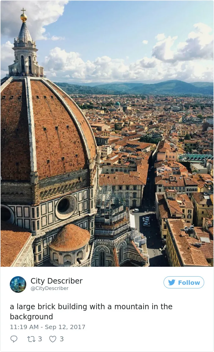 Microsoft’s AI Guesses What's In The Pictures But When It Fails, It's Hilarious