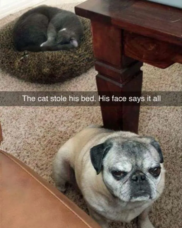 His Face Says It All