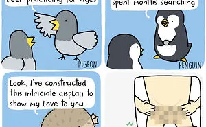 What If Inanimate Objects And Animals Could Speak (50 New Pics)