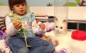 10+ Hilarious Ways That Kids Never Cease To Amaze Us