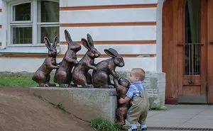 Outstanding Photographs That Will Impress You