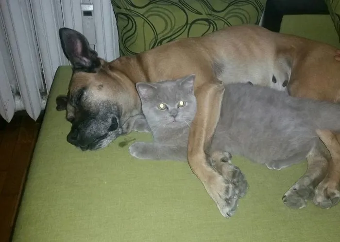 Old Friends