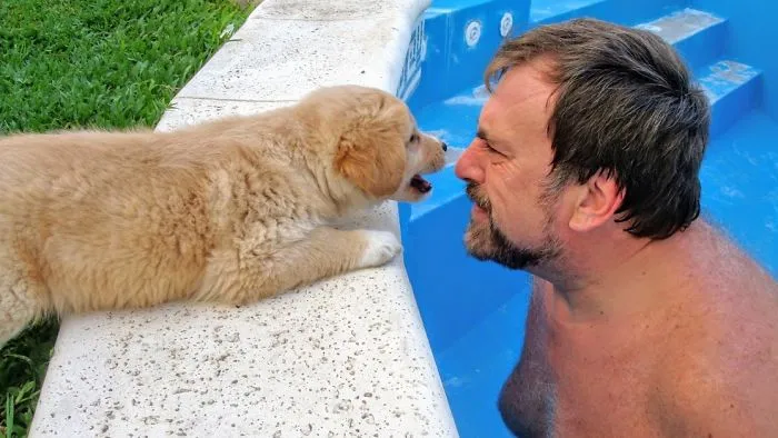 It Was Our First Meeting And The Little Boy Grunted And Barked At Me. "If You Growl At Me, I'll Growl At You Too". From That Moment On He Never Moved More Than Two Meters Away From Me.