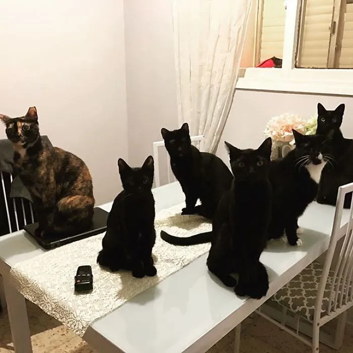 Took Me Forever To Make Them Look To The Camera