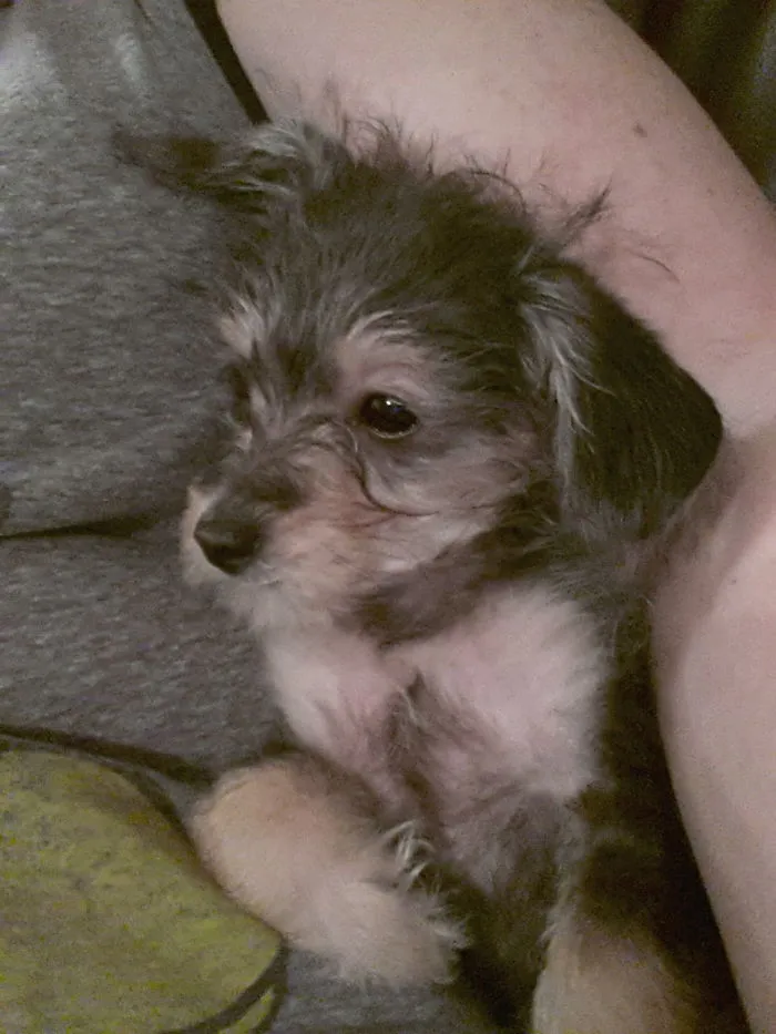 The First Night With My Annie Girl In 2014, This Is Still Her Favorite Place To Sit 😊
