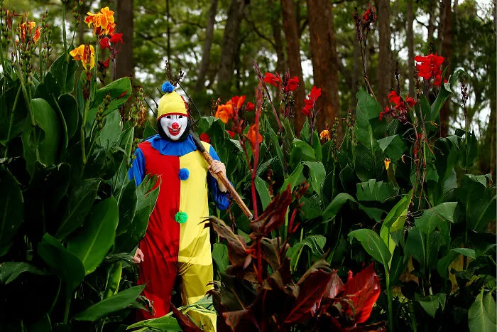 Deadset Clown