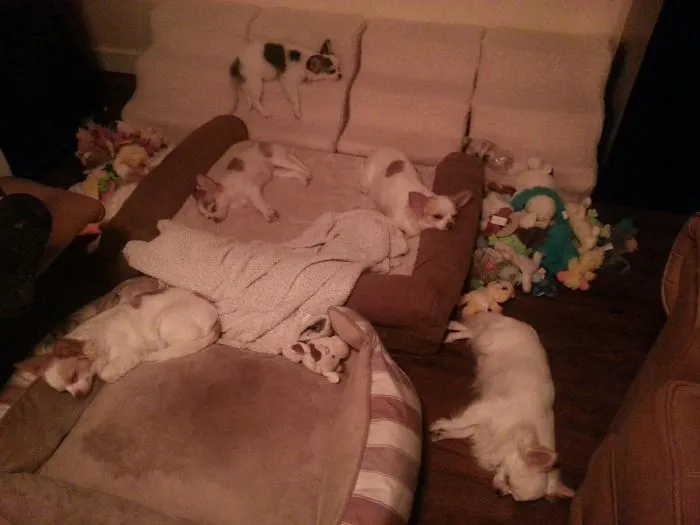 Everybody Taking A Break...