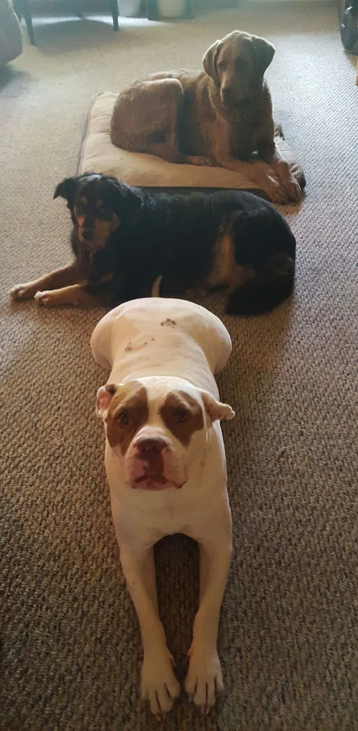 My Trio Of Trouble