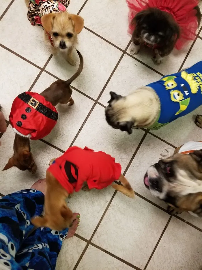 Halloween Time!