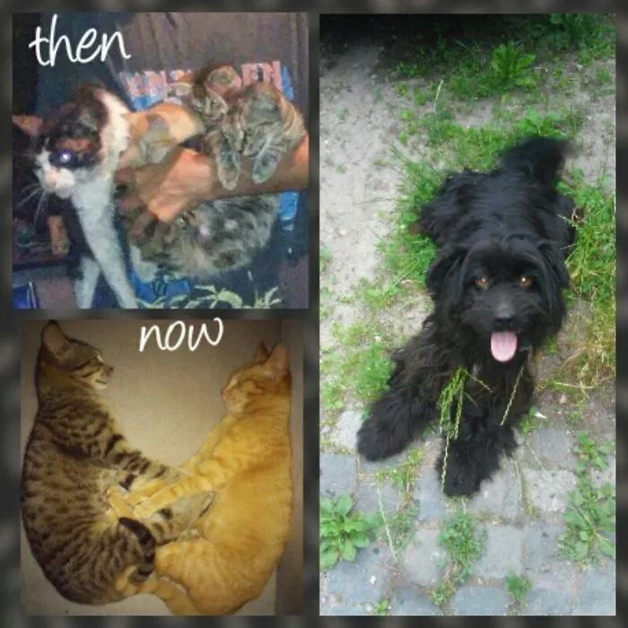 Rip My Old Friends