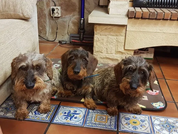 My Three Friends....