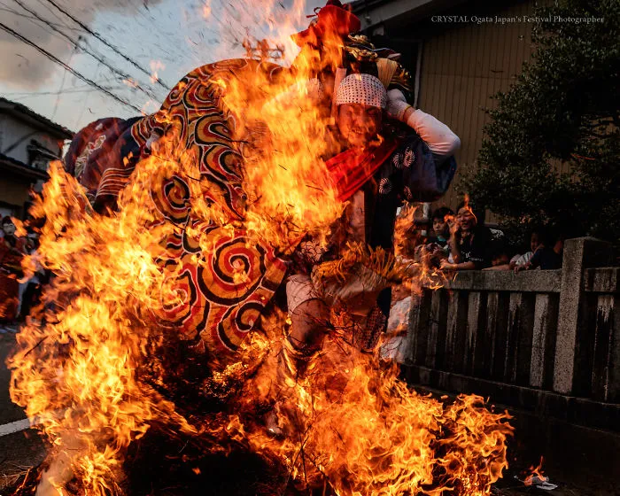 Three Lions Running Through The Burning Fire