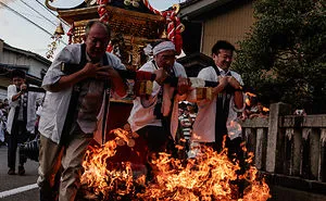 Three Lions Running Through The Burning Fire