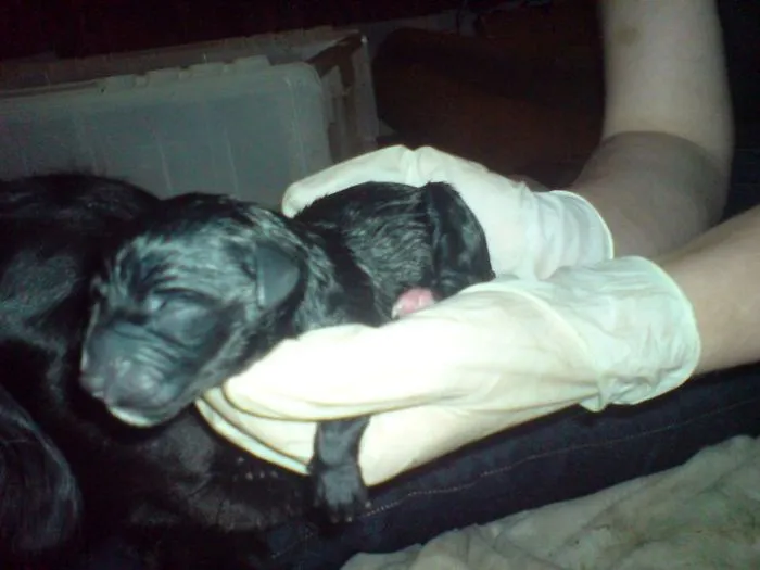 I Met Some Of My Babies At Birth, Since I Was The Midwife!