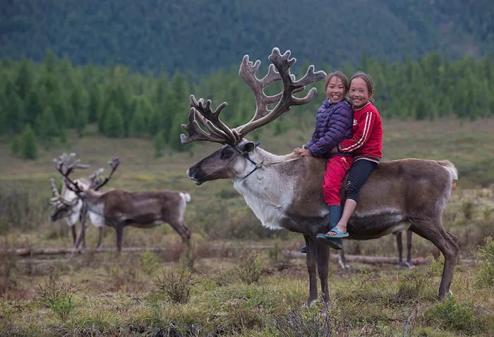 I Took Photos Of Adorable Kids With Their Reindeer In The Remote Taiga Mountains Of Mongolia