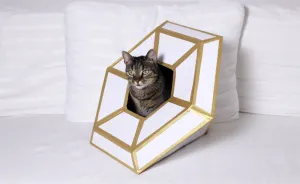I Made This Diamond Shape Cat House
