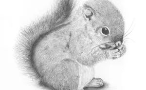 I Draw Animals With A Mechanical Pencil