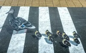 In Kaunas, Street Art Helps Preventing Accidents