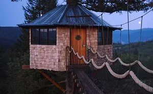This Millennial Quit His Job To Build A Treehouse Empire
