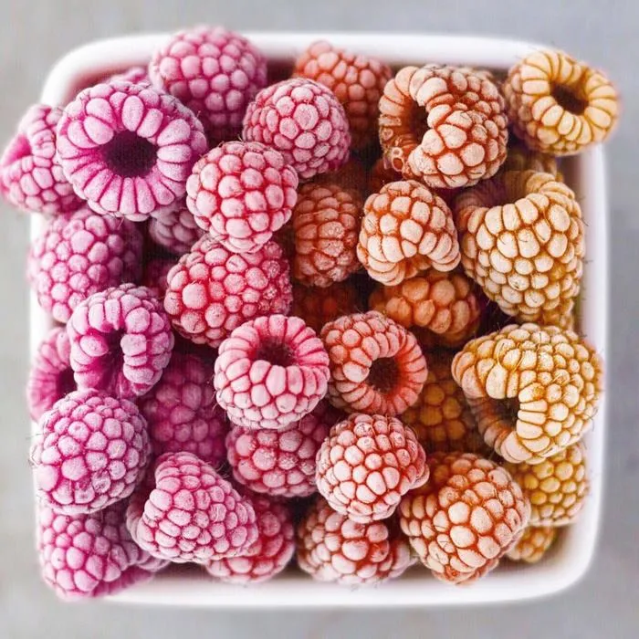 Vegan Colorful Food Arrangements