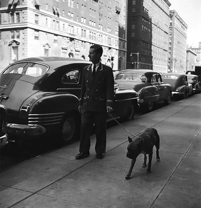 1940s New York street scene with a man walking a dog, vintage cars parked along the road.