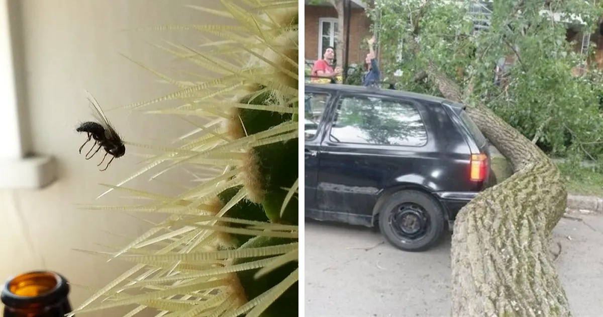 10+ Coincidencias tan improbables que cuesta creer que hayan ocurrido
