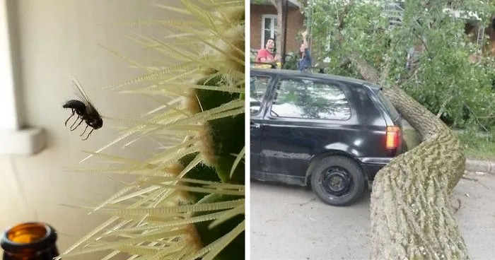 109 One In A Million Coincidences That Are Hard To Believe Have Actually Happened