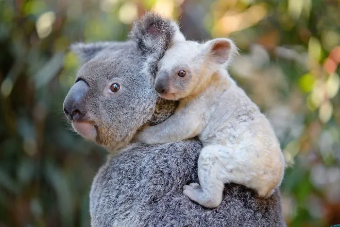 Steve Irwin's Son Is An Award Winning Photographer And These Photos Show Why