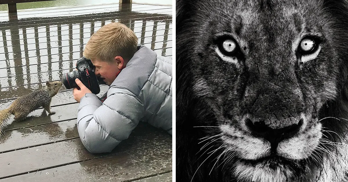 El hijo de Steve Irwin se ha convertido en un premiado fotógrafo, y en sus fotos verás por qué