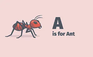 The Alphabet Book