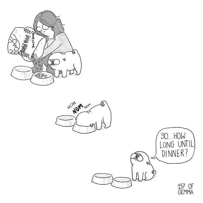 95 Adorable Comics That Hilariously Sum Up What It's Like Living With A Dog